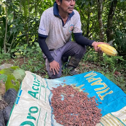 fève de cacao voyage